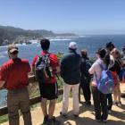 The Mahajan Lab gathered at Point Lobos Nature Preserve to take in views of the Pacific Ocean while hiking the loop that follows along the preserve's cliffs. May 12, 2018