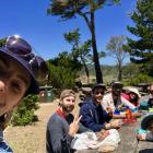 Lab picnic at Point Lobos